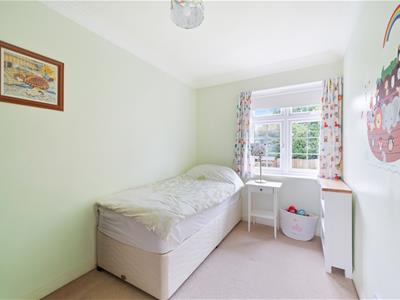 Picture 21